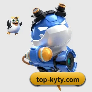 开云 APP